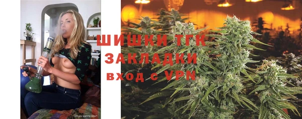 стафф Бородино