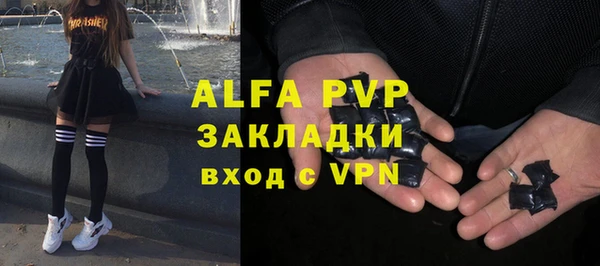 стафф Бородино