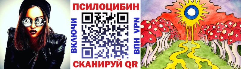 Галлюциногенные грибы MAGIC MUSHROOMS  Купить где  Неман 